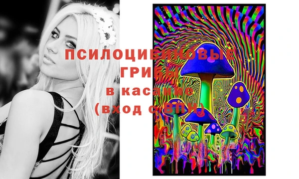 круглые Нефтегорск