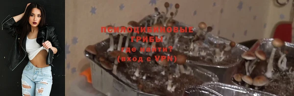 спиды Нефтекумск