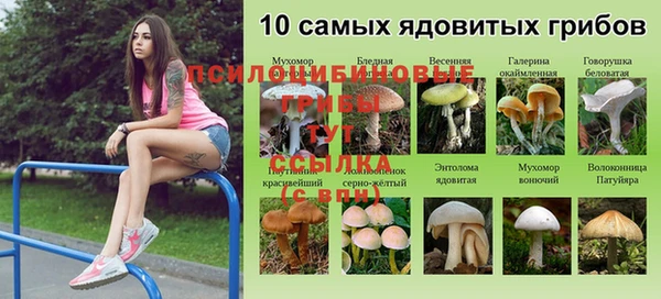 apvp Нея