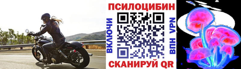Купить закладки  Отрадная  Галлюциногенные грибы Cubensis 