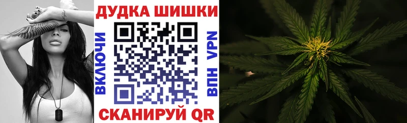 Каннабис план  Купить где  Отрадная 